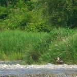 20130701.jpg