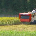 20130907.jpg