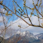 20140222.jpg