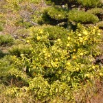 20140224.jpg