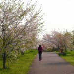 20140410.jpg