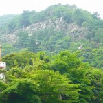 20140609.jpg