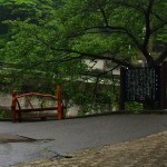 20140611.jpg