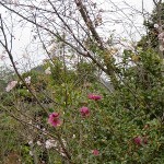 20141031.jpg