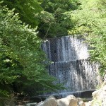 20150521.jpg