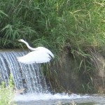 20150622.jpg