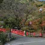 20151116.jpg