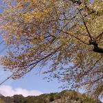 20160422.jpg