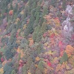 20161111_2.jpg
