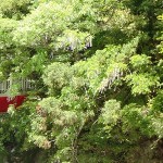 20180511_2.jpg