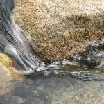20180719_3.jpg