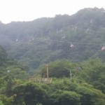 20180728.jpg