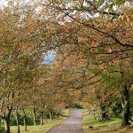 20181027.jpg