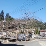 20190224.jpg