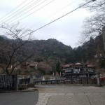 20190303.jpg