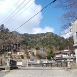 20190308.jpg