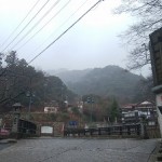 20190311.jpg