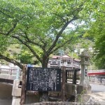 20190510.jpg