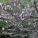 20191021.jpg