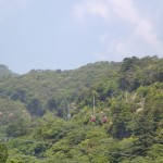 20200605.jpg