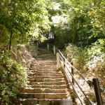 20200607.jpg