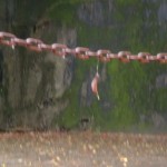 20201023.jpg