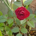 20201030.jpg